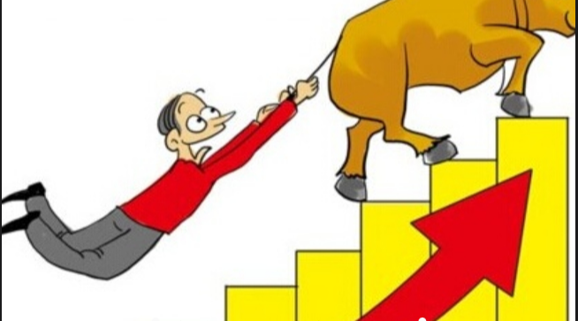 上海期货配资公司：助您把握市场机遇，实现财富增长